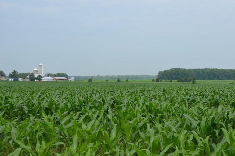 Le prix des terres agricoles a doublé  L'Écho de Maskinongé